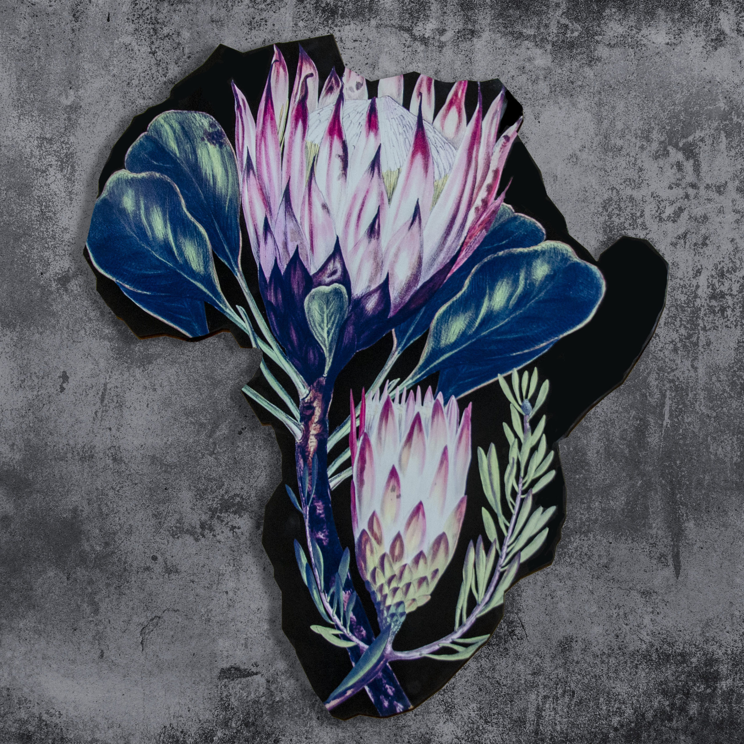 _ASC4175 Protea Africa - Wall Art - Image 1