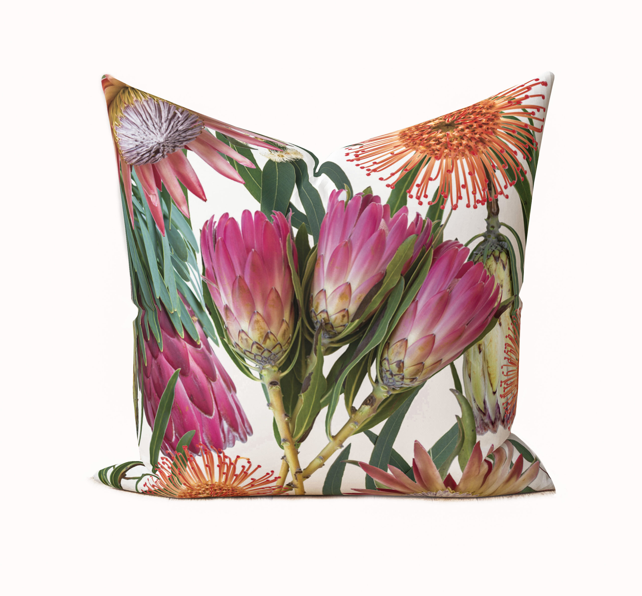 Pillow 55
