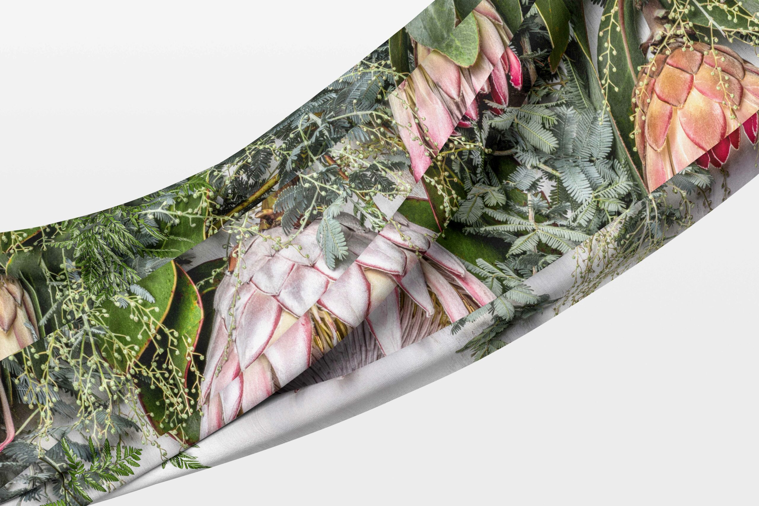 2023_Tablecloth_protea_harvest