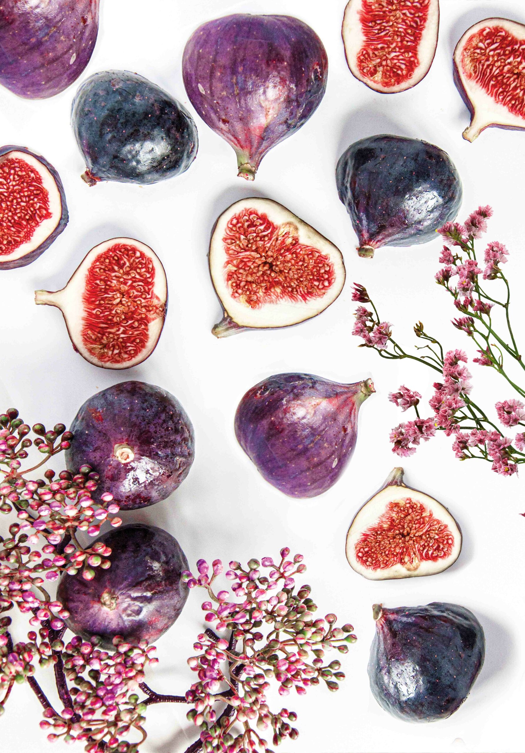 ___Foodnet_Figs