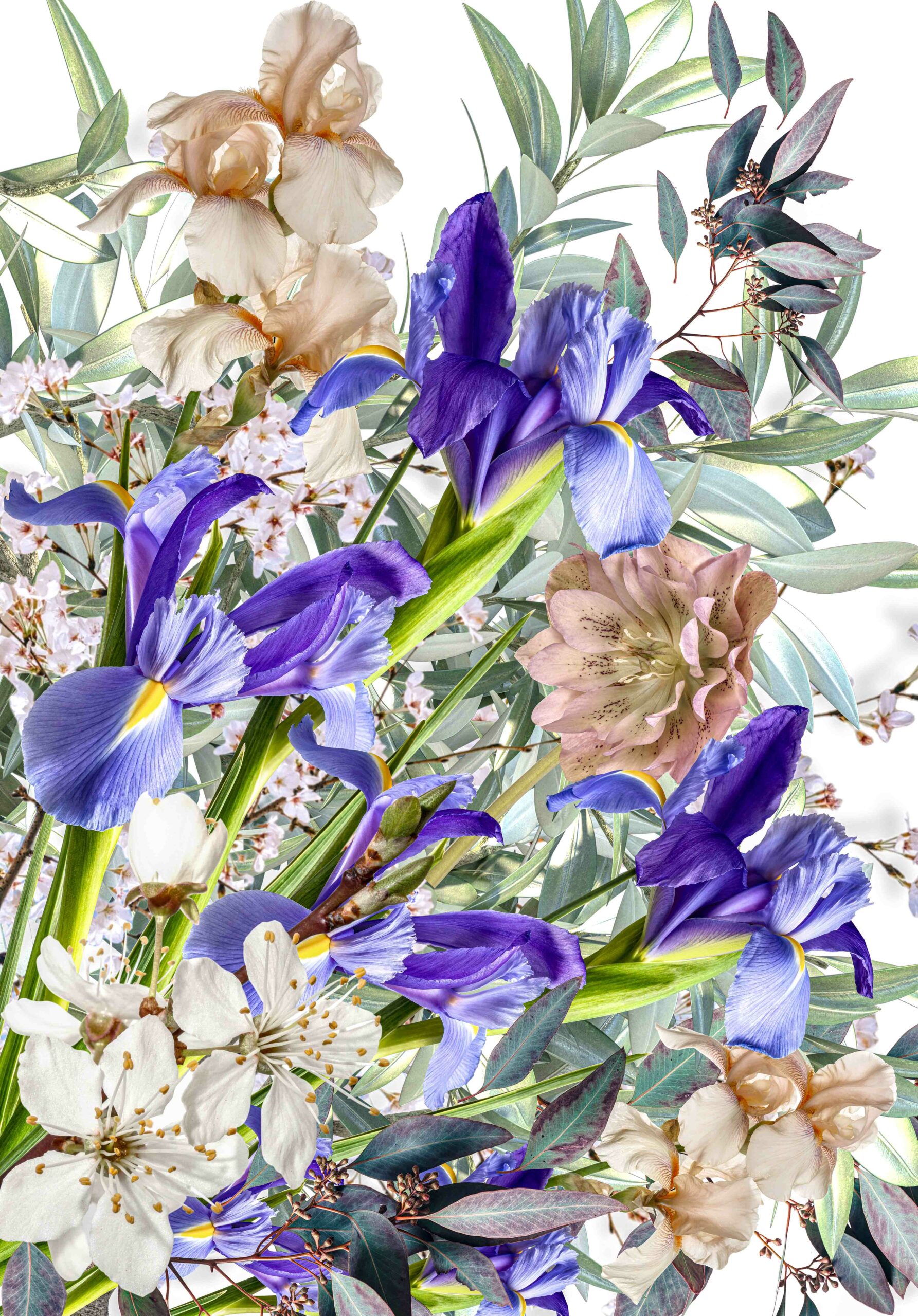 ___Foodnet_Floral_bouquet