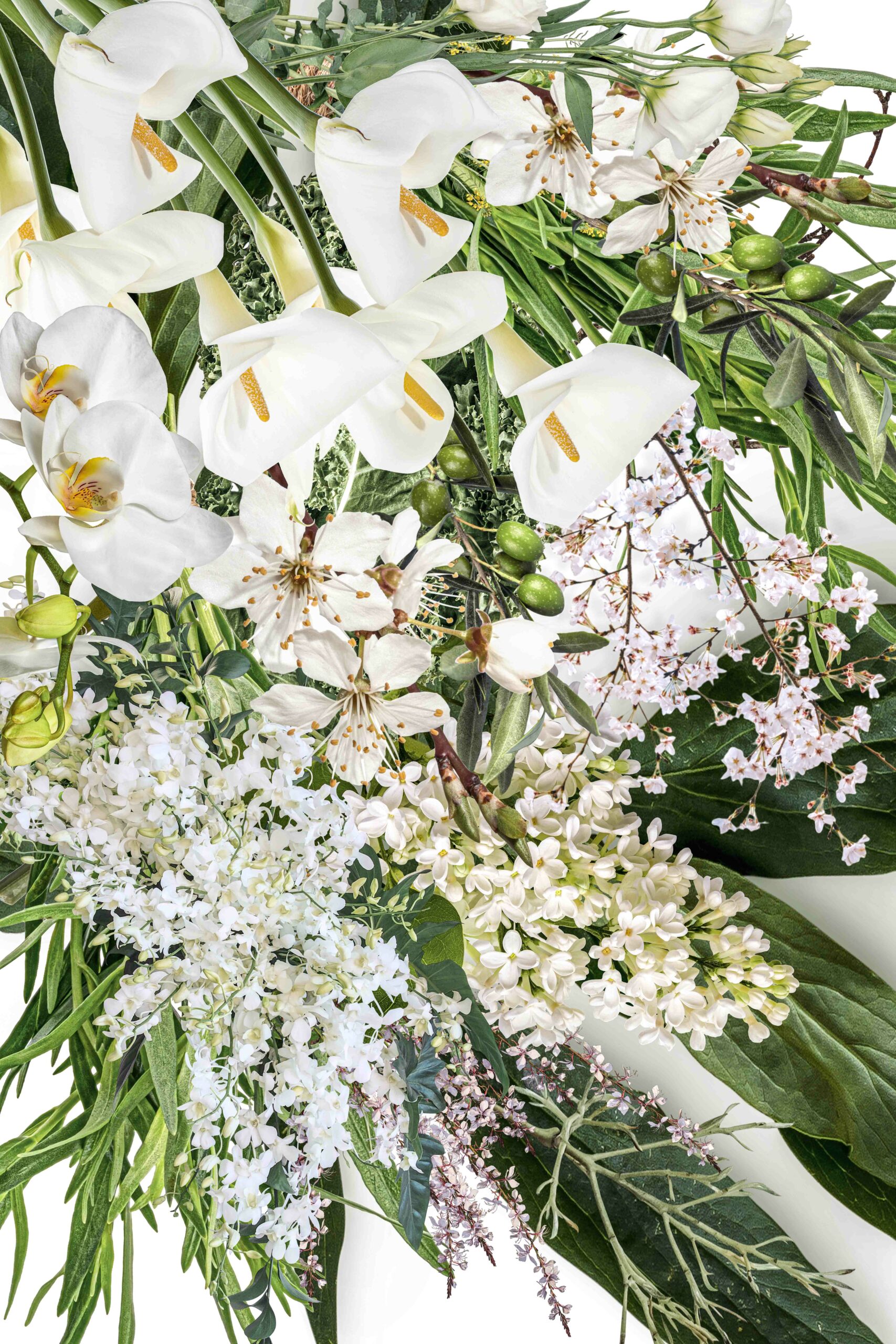 ___Foodnet_White Garden