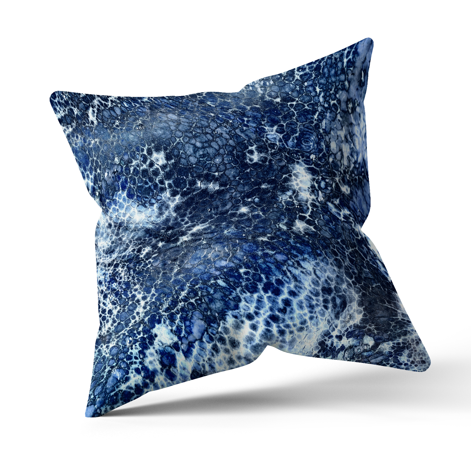 Cushion24