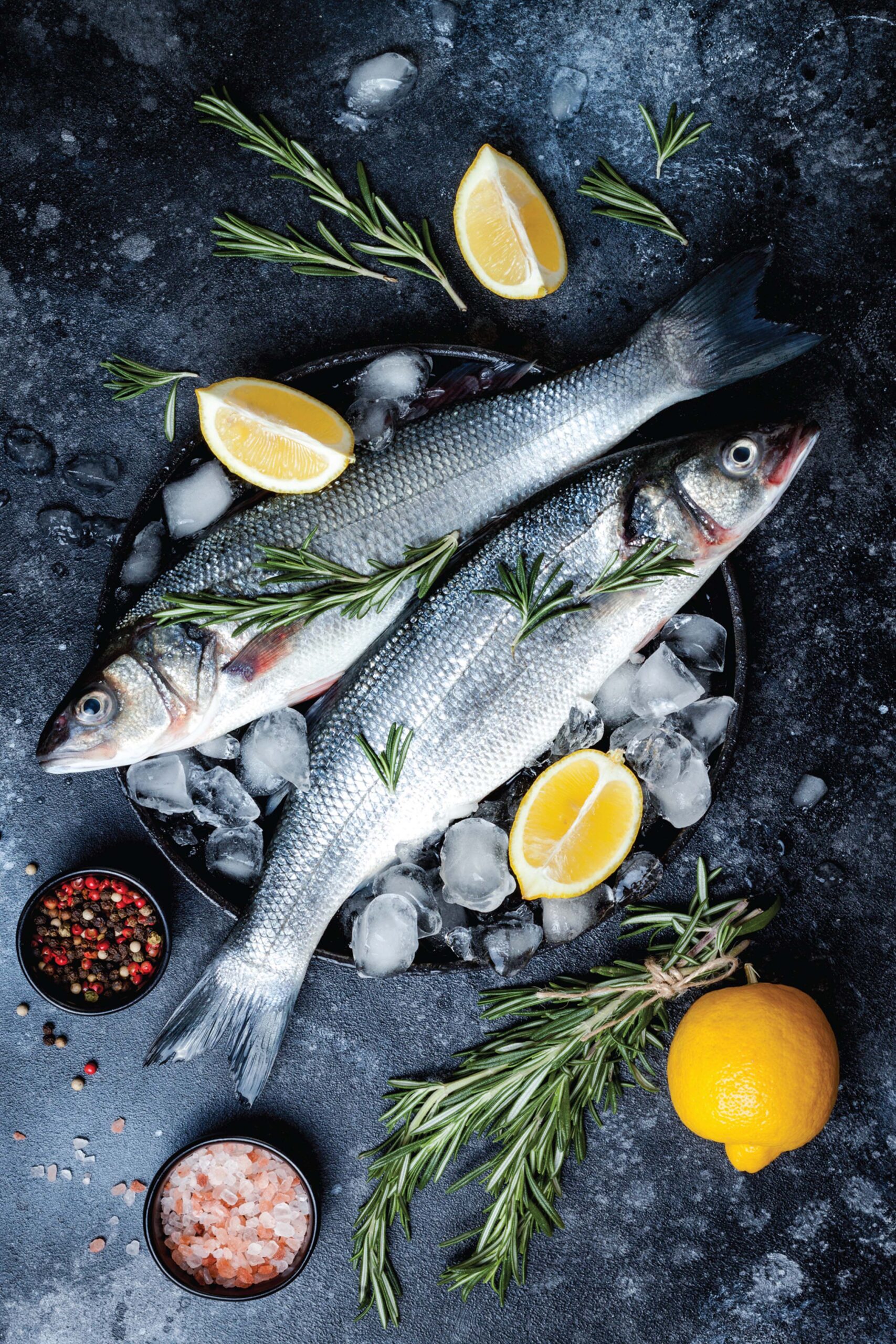 ____Foodnet21