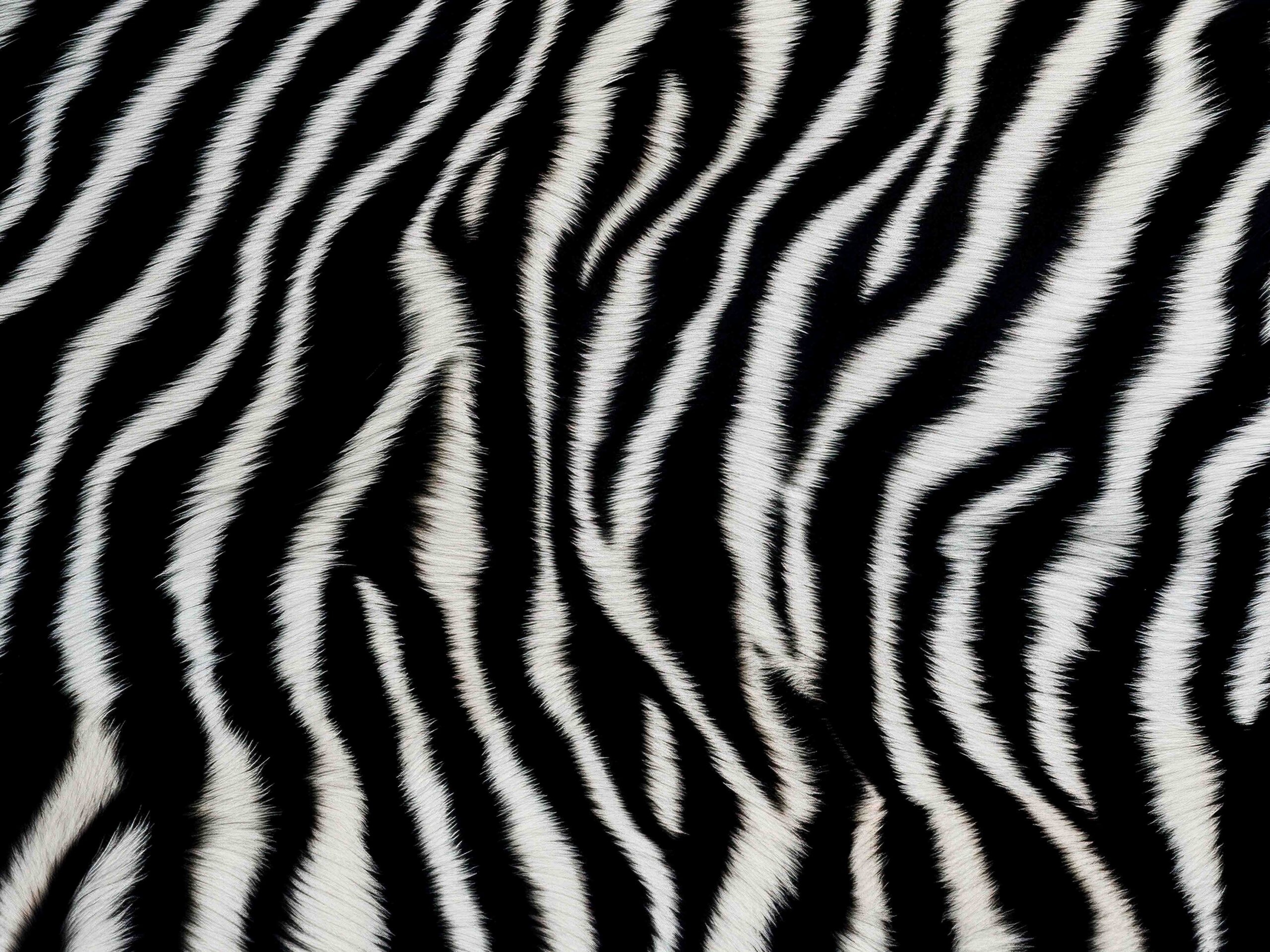 Placemat_Zebra
